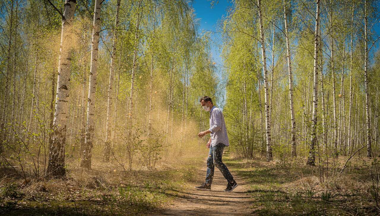 Birkenpollenallergie 2026: Allergologen warnen vor besonders frühem Saisonstart im März