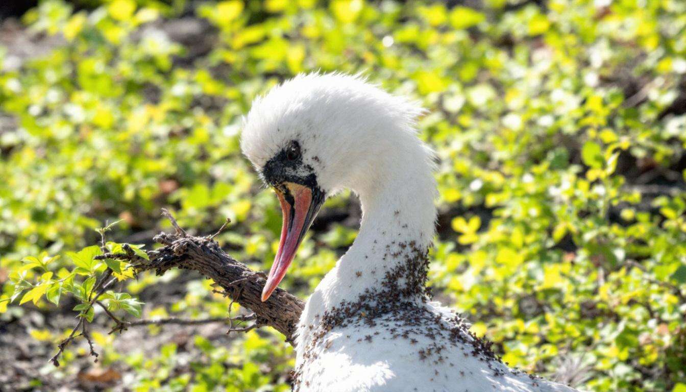 Saugroboter Test 2026: Die besten Modelle – und welche dich wirklich überzeugen