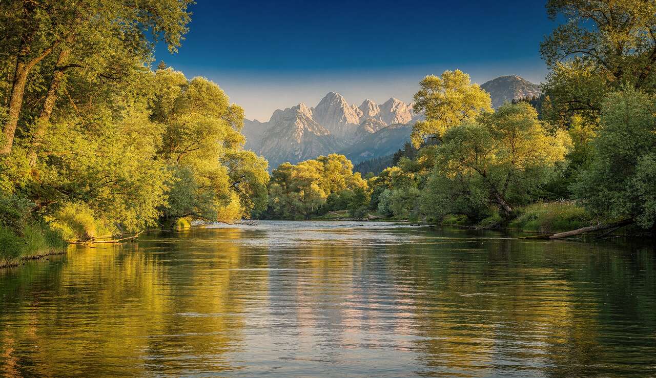 Nieren schützen: 8 Regeln, die Nephrologen ein Leben lang empfehlen