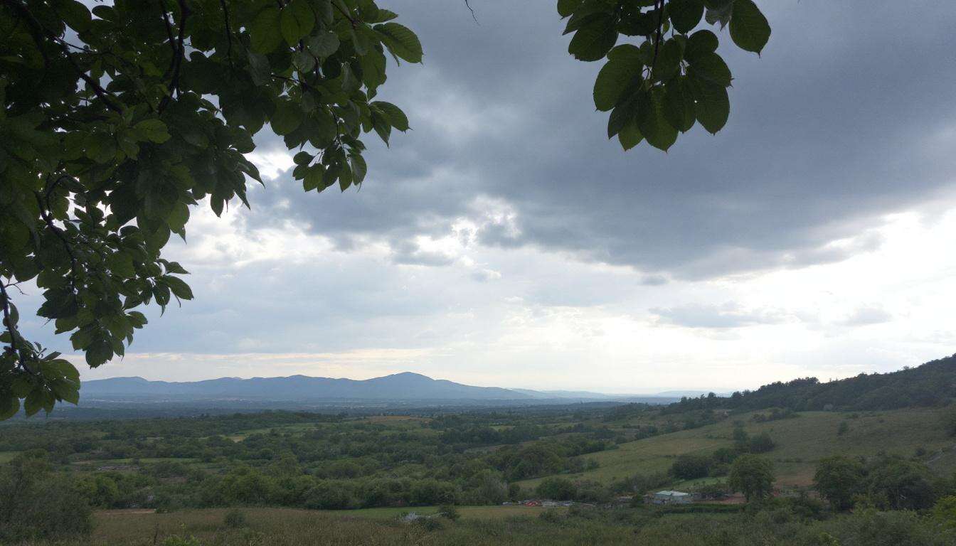 Die Geschichte und Entwicklung der Vintage-Barwagen: warum sie zu fast jedem Einrichtungsstil passt
