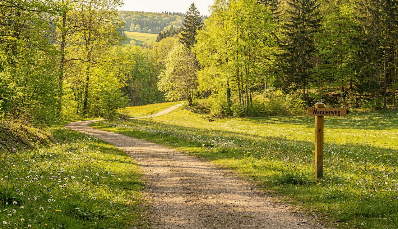 Wandern im Frühling: 5 Routen in Deutschland, die Sportmediziner für Einsteiger ab 60 empfehlen
