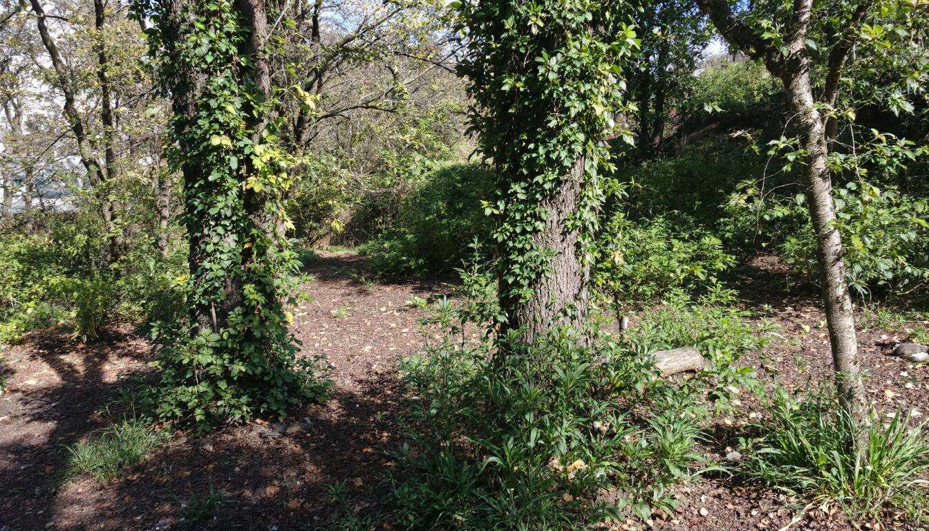 Asiatische Maultaschensuppe mit Kokosmilch &amp; Gemüse
